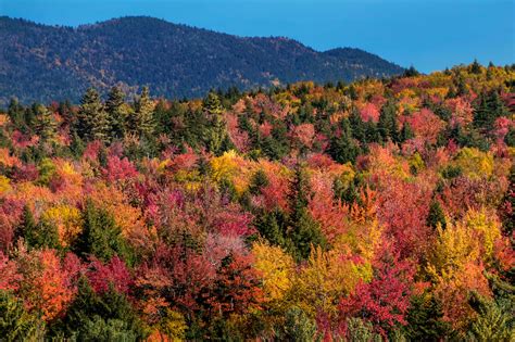 New England Fall Foliage 2025 - Otha Adeline