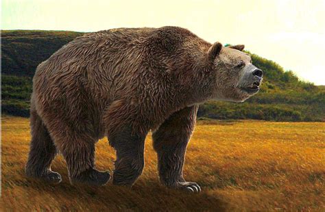 Short-faced Bear | Short faced bear, Megafauna, Prehistoric wildlife