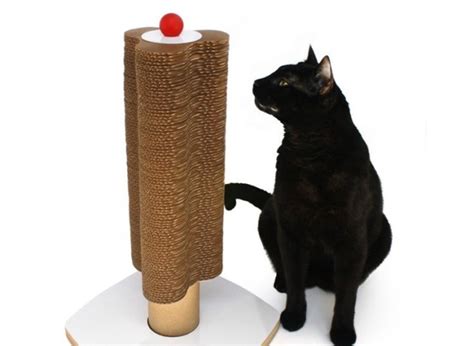 New Uses For Cardboard: DIY Cat Scratching Post | HuffPost Life