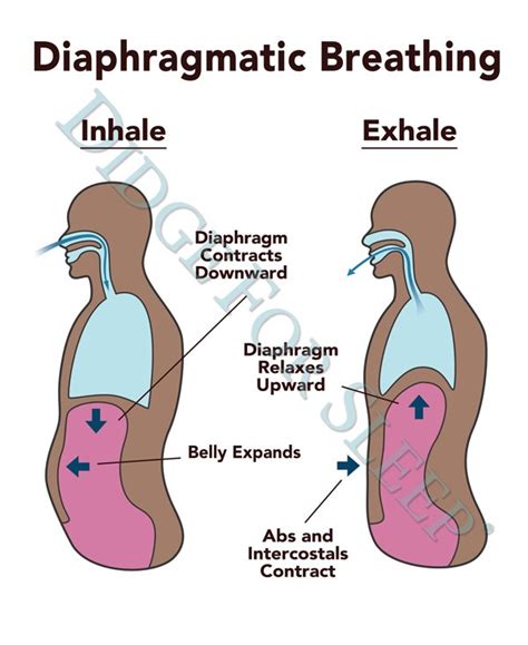 Breathing Exercises For Wind Instrument Players - Didge Project