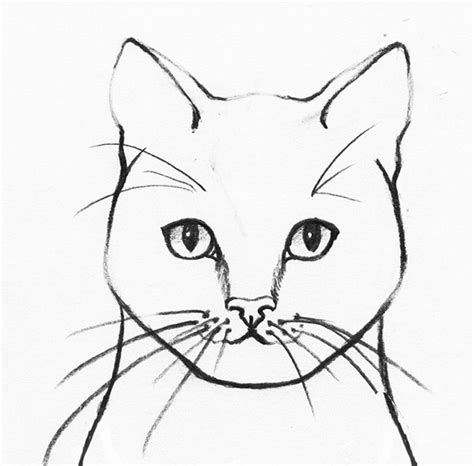 How to Draw a Realistic Cat Step-by-step - Udemy Blog