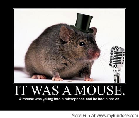 Mouse Memes