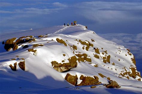 Climate Zones on Mount Kilimanjaro | Peak Planet