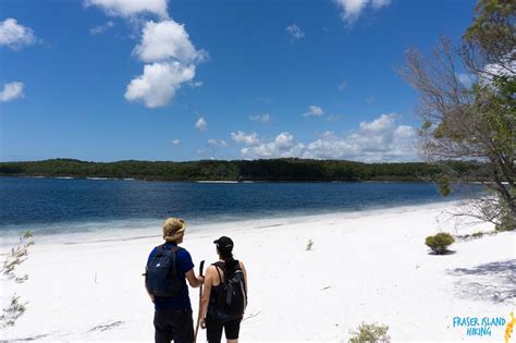 Pack-free Camping: Lake McKenzie Eco Walk - 2 Days - Fraser Dingo 4wd Adventures Reservations