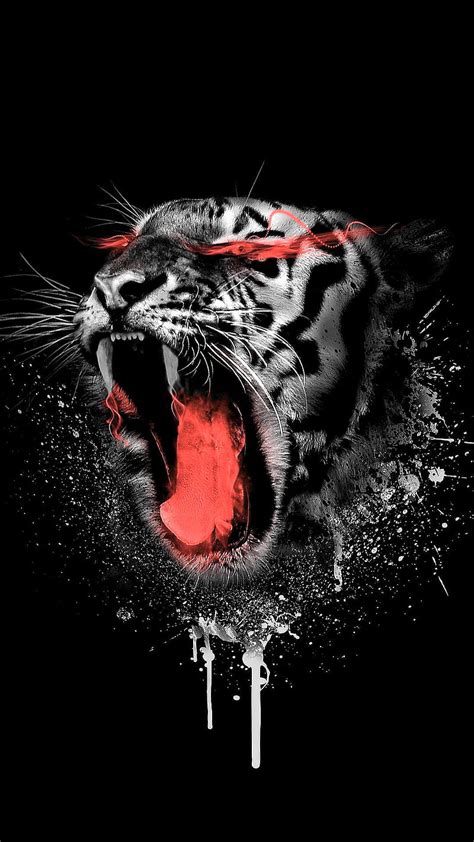 Angry Tiger Face Hd Wallpaper