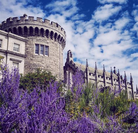 Dublin Castle in the sunshine of Ireland | Dublin castle, Ireland travel, Leaning tower of pisa