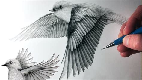 Realistic Bird Drawing at GetDrawings | Free download