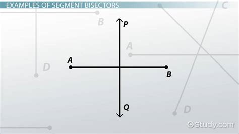 Segment Bisector | Definition, Theorem & Examples - Lesson | Study.com