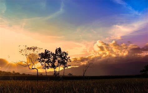 Free stock photo of afternoon, beautiful, field