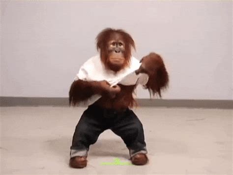 Monkey Stripping GIF - Find & Share on GIPHY