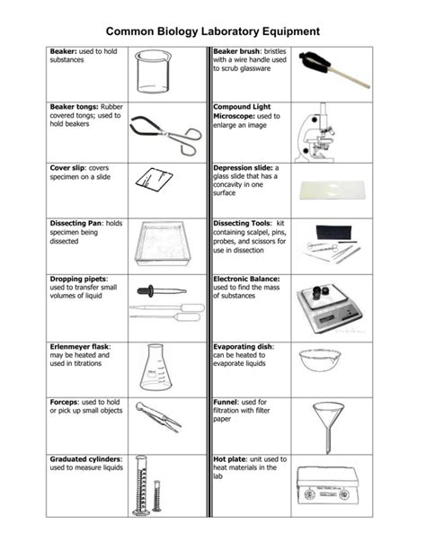 Common Biology Laboratory Equipment