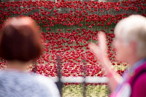 For WWI Anniversary, the Tower of London Has Become Surrounded by a Sea of Poppies | Smithsonian