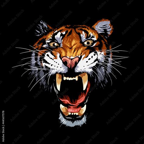 angry tiger face roar vector illustration on black background Stock Vector | Adobe Stock