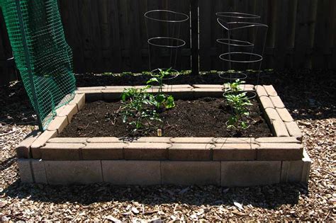 The Quick and Easy Way to Build a Cinder Block Raised Bed - Garden and Happy