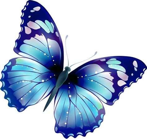 Butterflies butterfly clip art 2 - Clipartix