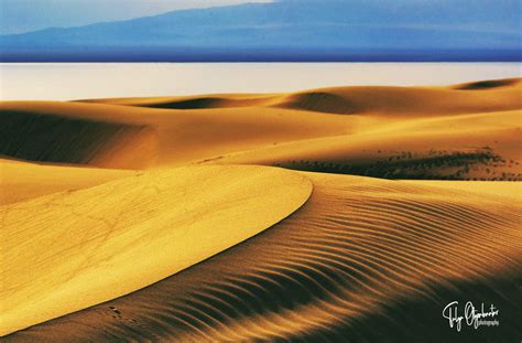 Mongolian Gobi desert facts - Travel Mongolia | Nomadic Trails