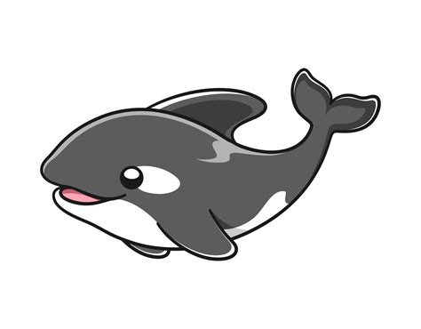 Cute Orca whale vector illustration. Killer whale cartoon clipart. 16137597 Vector Art at Vecteezy