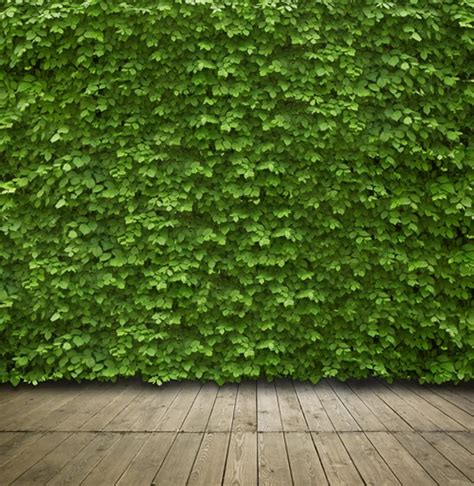 spring green leaves wall and wood floor Photography Backdrop Photo Background Quality Vinyl -in ...