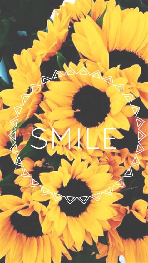 Really Aesthetic Wallpapers - Cute Aesthetic Sunflower Wallpapers | nawpic