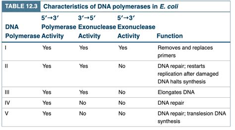 Solved If you look at Table 12.3, E. coli DNA polymerase is | Chegg.com