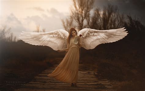 Beautiful Angel Wings Wallpaper