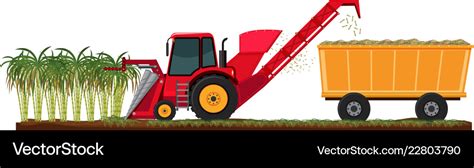 Farm harvesting sugar cane Royalty Free Vector Image