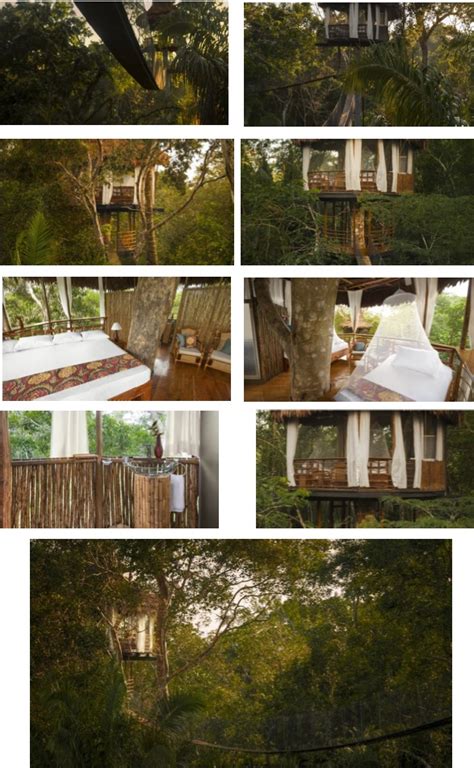 Stay in the Amazon jungle canopy at the unique Treehouse Lodge