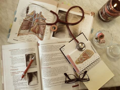 My little med diary | Medical school motivation, Medical aesthetic, Medical student motivation