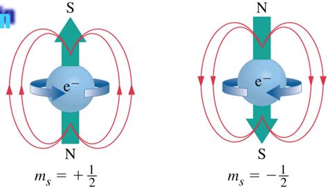 What is the magnetic moment, and what does it have to do with the spin of the electron ...