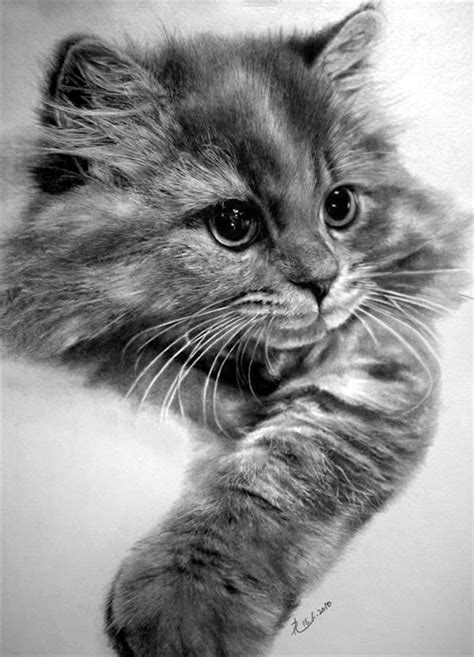 Le dessin réaliste - astuces pour améliorer et images pour s'inspirer | Cute cats, Cats and ...