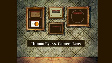 The Human Eye vs. Camera by Grant Burlock