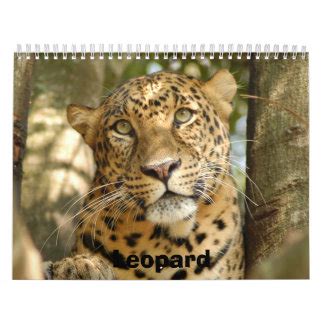 Leopard Calendars | Zazzle