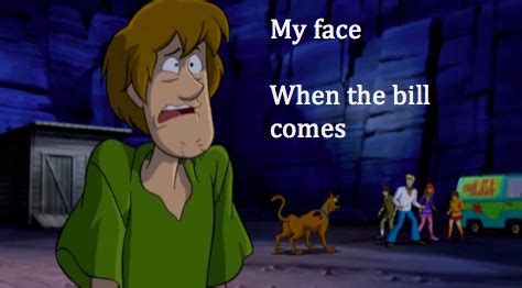 Shaggy from Scooby Doo Meme by moviememes on DeviantArt