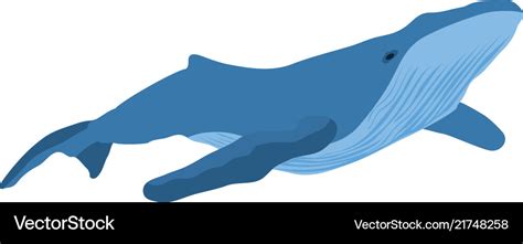 Whale Royalty Free Vector Image - VectorStock