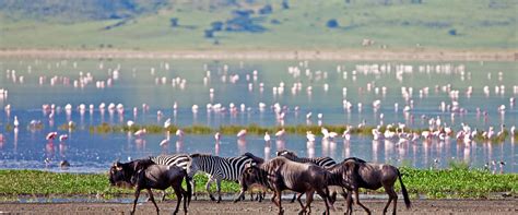 Ngorongoro Crater - Luxury Safari Company