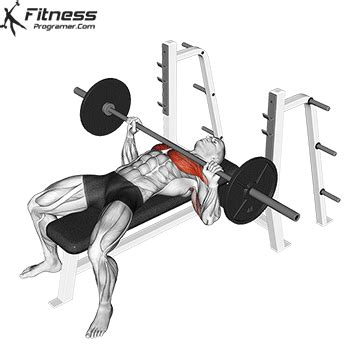 Bench Press » Workout Routine Created By Bent Ulrich