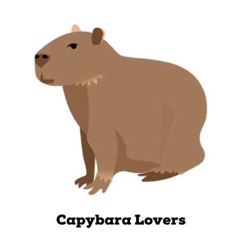 Capybara teeth and chewing habits - Capybara Lovers