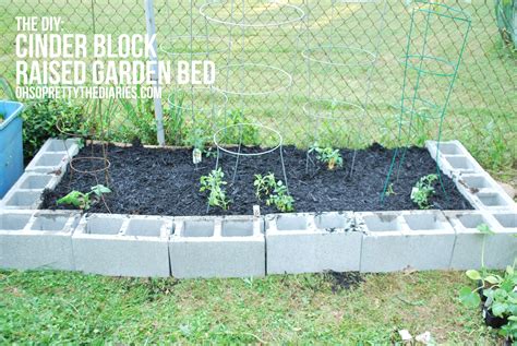 the DIY: CINDER BLOCK RAISED GARDEN BED