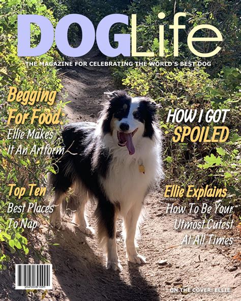 Dog Life | YourCover