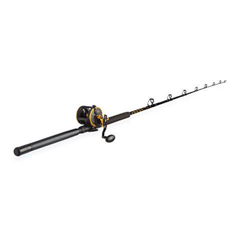 Top 10 Penn Fishing Rod And Reel Combos of 2022 - Savorysights