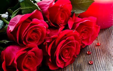 Beautiful Rose Wallpapers HD (62+ images)