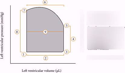 Pressure Volume Relationship Diagram | Quizlet