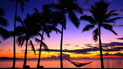 Purple Tropical Sunset Beach Wallpapers - Top Free Purple Tropical Sunset Beach Backgrounds ...