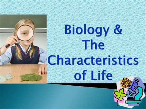 PPT - Biology & The Characteristics of Life PowerPoint Presentation - ID:6514987