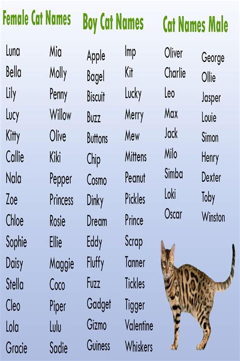 Cute Cat Names Unique