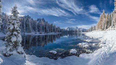 Winter Landscape Lake Reflection Pine Forest Trees With Snow White Tablecloth Blue Sky With ...