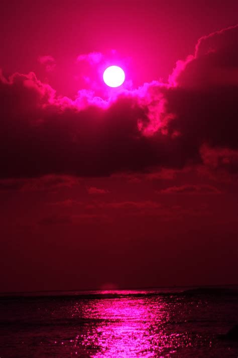 hawaii fish eye | Pink aesthetic, Pink sunset, Pink wallpaper iphone