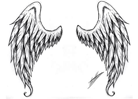 Beautiful angel wings |The Free Images