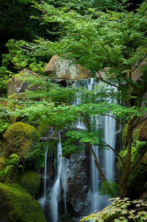 Japanese Garden Waterfall | Dave Wilson Photography