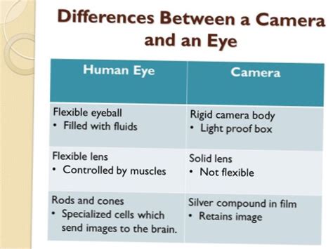 Difference Between Eye and Camera | Differbetween